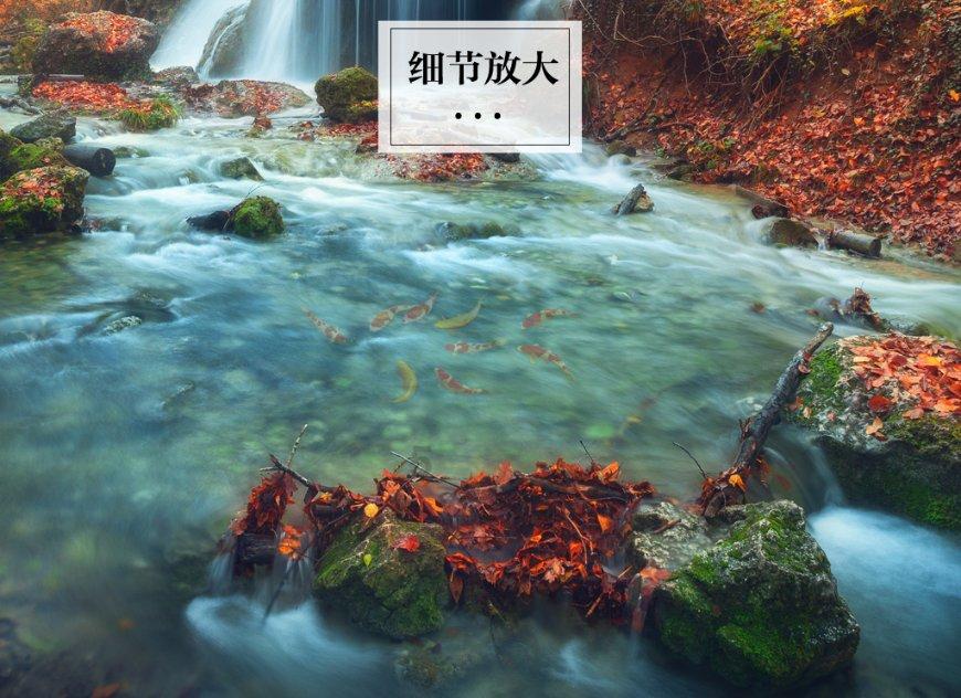优质问答平台-《爱情公寓1》展博公司举办了欢迎晚宴,于是展博做了什么样的事情呢?,快速获得答案。